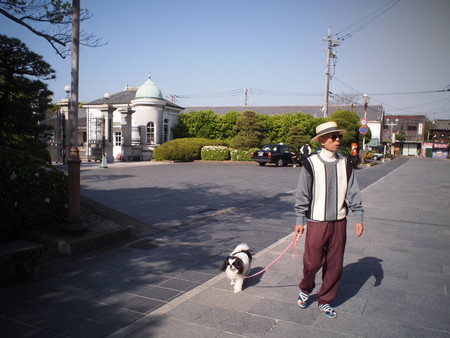 狆のユウ君　おじいちゃんのふるさとへ行く♪　柳川下りを体験！