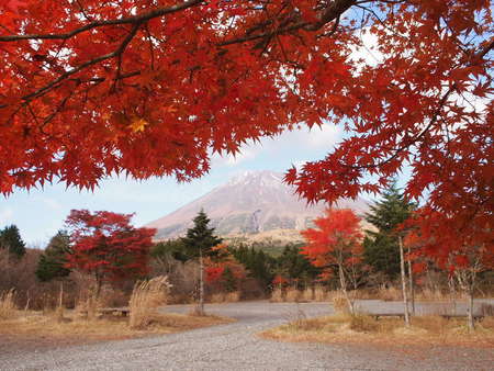 11/13 富士山スカイラインの紅葉は見頃でした♪