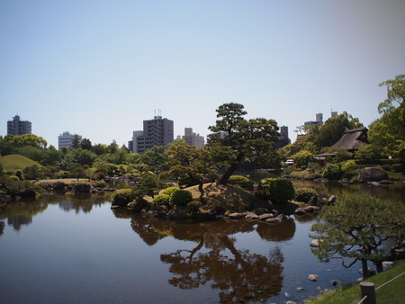 よかばい熊本！ユウ君、水前寺成趣園へ行く♪