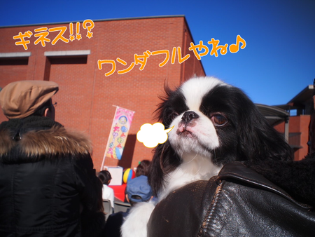 藤枝郷土博物館で戌年イベント♪　わんわん大サーカスがやってきた！