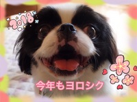 ワンステップ踏み出すステキな一年に♪ 2018/01/09 22:00:17