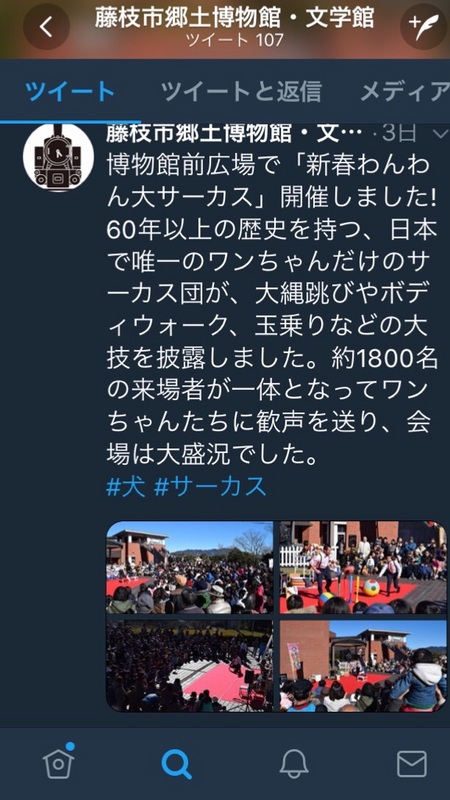 藤枝郷土博物館で戌年イベント♪　わんわん大サーカスがやってきた！