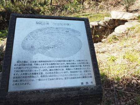 JRさわやかウォーキング　春の梅田親水公園と湖西路めぐり