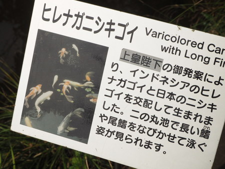 遠鉄プレミアムロイヤルバスで行く！新天皇即位　一般参賀の旅♪　完結編