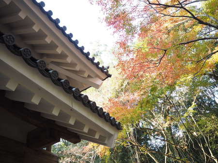 依田さんは生の方がカッコイイ！(*ﾉωﾉ)　グッド！モーニング中継は油山寺