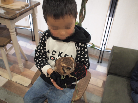 ふくろう＆爬虫類　エキゾカフェ初潜入！！