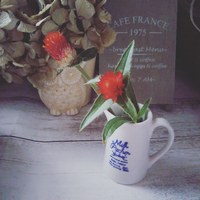 ストロベリーフィールド 2020/08/03 08:15:31