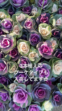 







… 2020/11/12 07:15:45