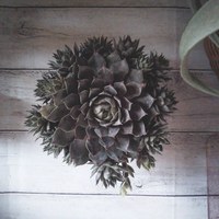 夏休みをいただいております☆ 2020/08/13 20:48:16