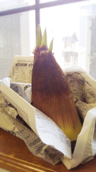 しゅん。