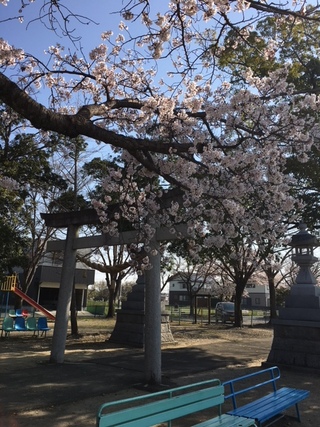 満開