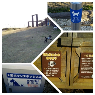 ぷらっと。