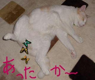 小っちゃかったね、陽向太君