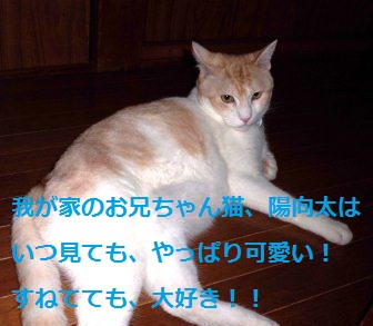 満月でした