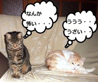 微妙な距離の二人 2012/12/05 00:19:09