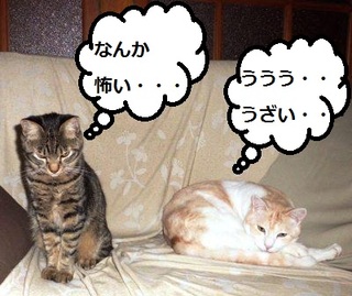 微妙な距離の二人