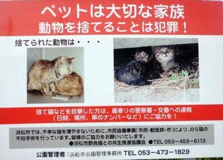 保健所は味方だよ