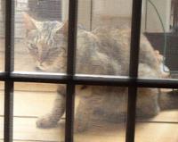 その後のオハナちゃん 2012/12/04 00:08:57