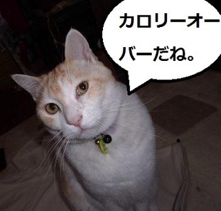 チロルチョコミルキー