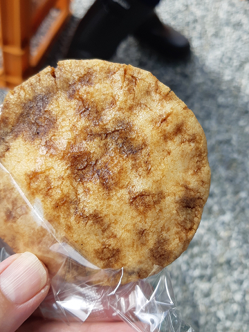 トリイソースさんのジンジャーシロップ用生姜収穫体験♪