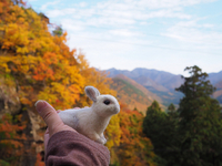 山形旅その1　山寺に登る 2020/12/01 20:04:31