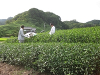 7月20日の記事