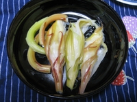 月下美人食べて美人に・・・