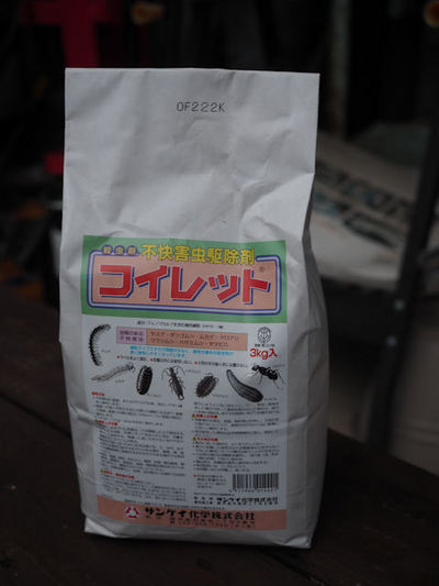 山ビル退治　④