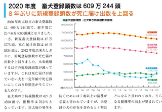 2020年度登録頭数