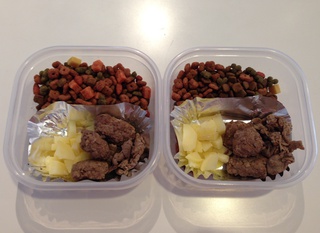 わんこのお弁当（＾－＾）v