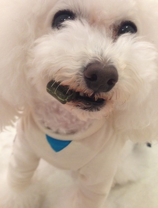 リップちんのおしり♡