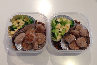 わんこのお弁当♪(^_^)♪