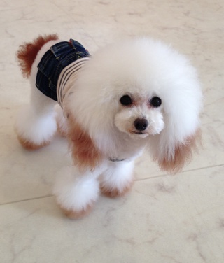 今日はお仕事(#^.^#)