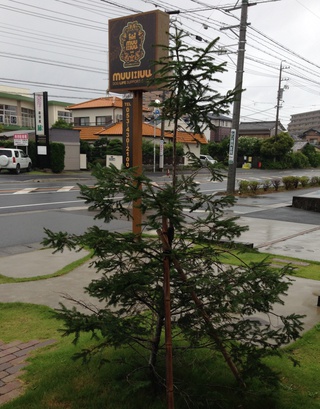 台風～☂
