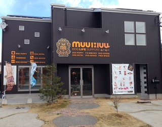 muumuuのジオラマ♪