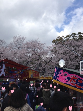 お花見(*´▽｀*)
