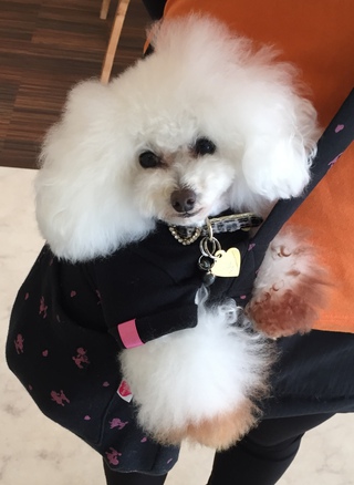今日はお仕事♪