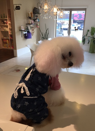 番犬(￣^￣)ゞ