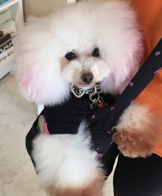 今日はお仕事(*^-^*)