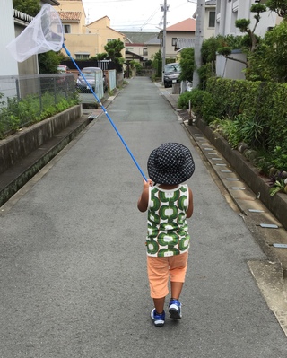 セミ獲り♪
