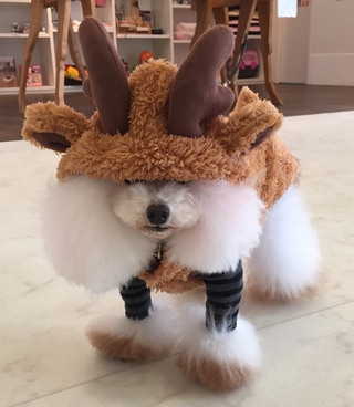 今日はお仕事(^_-)