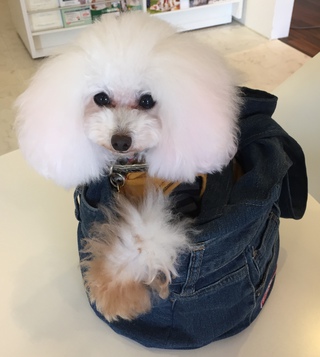 今日はお仕事(^_-)