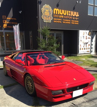 憧れのフェラーリ♪