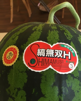 縞無双♪