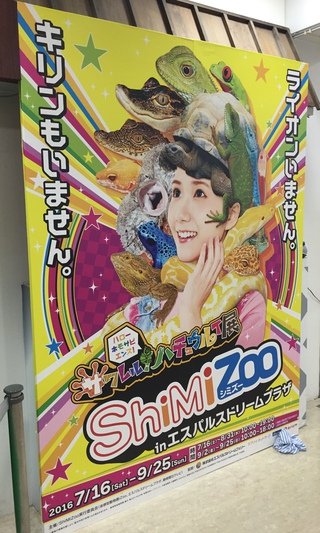 エスパルスドリームプラザ♪