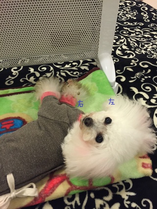 ストーブを独り占め(´▽｀)