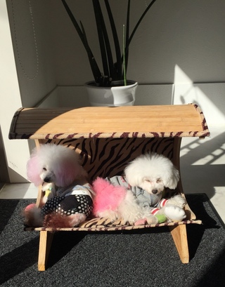 休日は日向ぼっこ(*´ω｀)