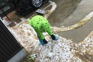 せっせと雪だるま(´▽｀)