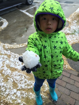 せっせと雪だるま(´▽｀)