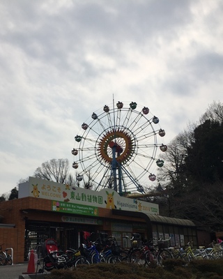 東山動物園(=^・^=)
